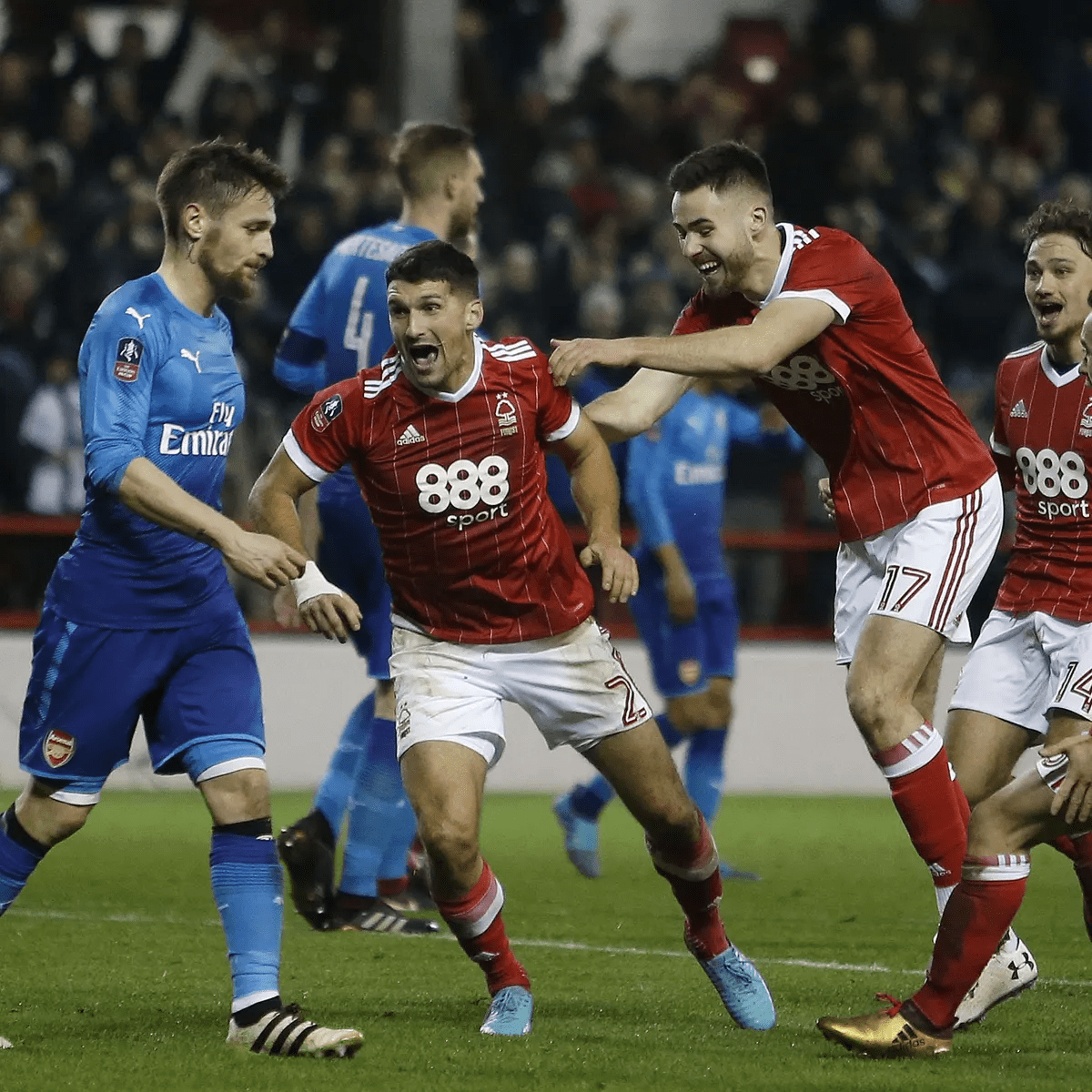 反观东北虎 反观东北虎